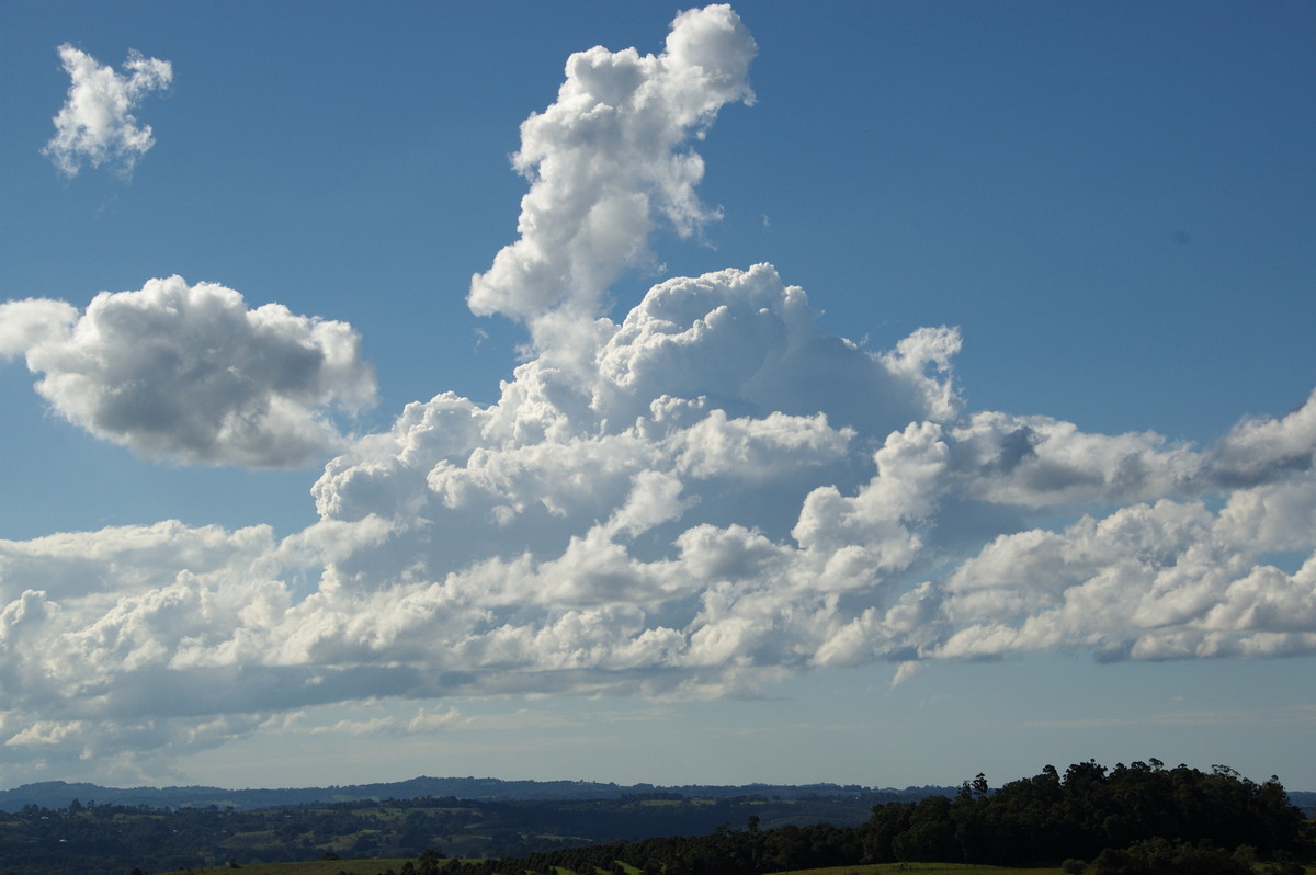 cumulus mediocris : McLeans Ridges, NSW   20 June 2008