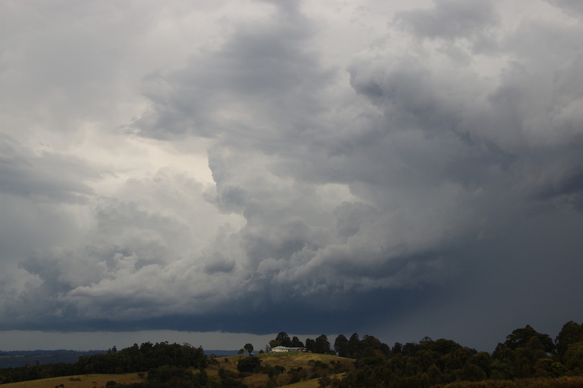 thunderstorm cumulonimbus_calvus : McLeans Ridges, NSW   27 August 2008