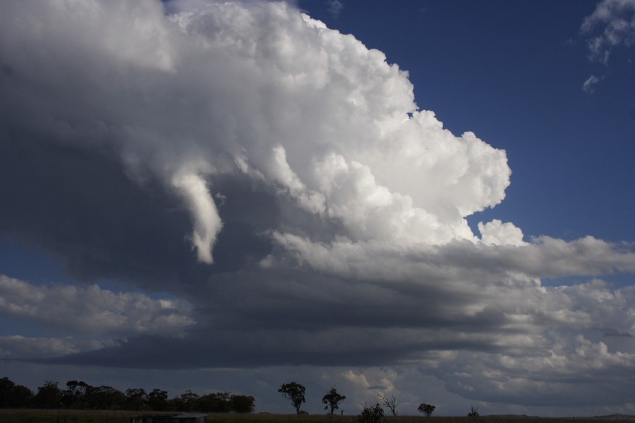 tornadoes funnel_tornado_waterspout : between Scone and Merriwa, NSW   5 October 2008