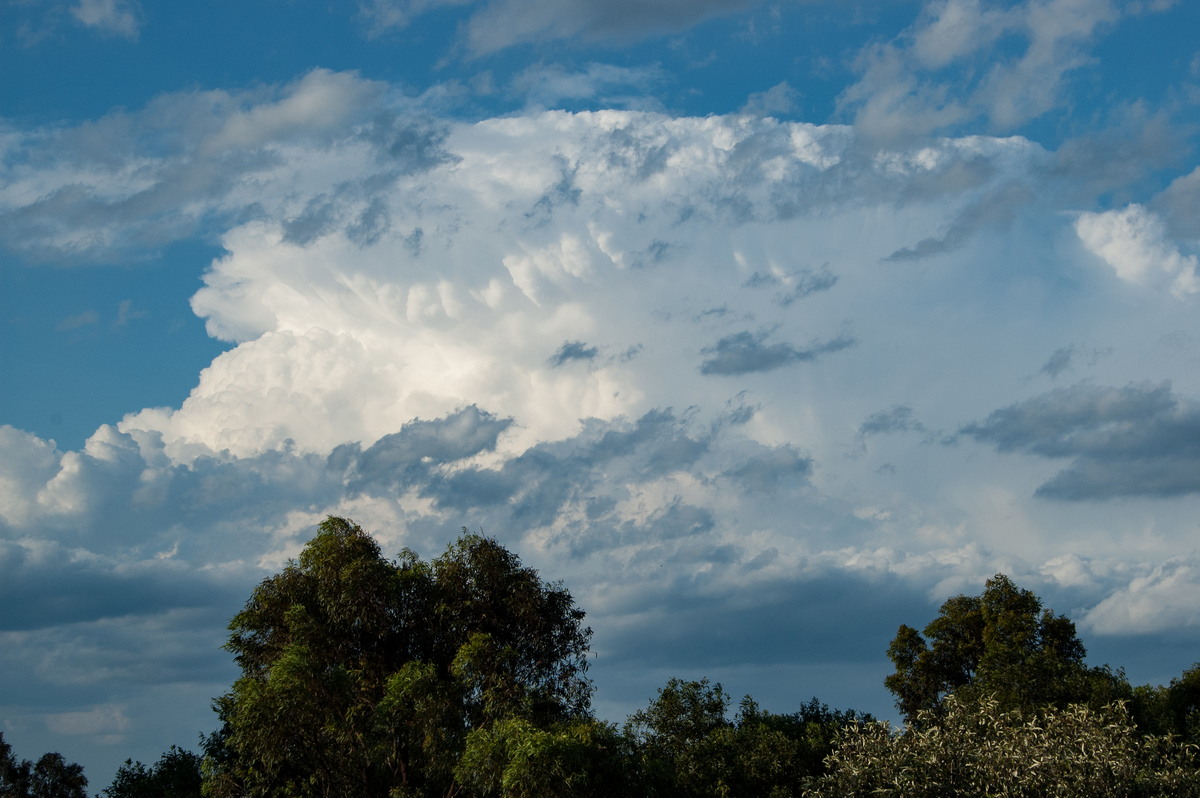 thunderstorm cumulonimbus_incus : Maclean, NSW   21 October 2008