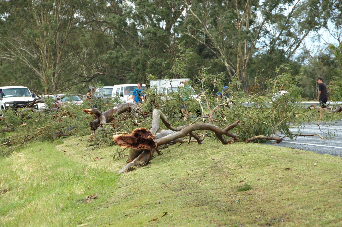 disasters storm_damage : N of Kyogle, NSW   24 December 2008