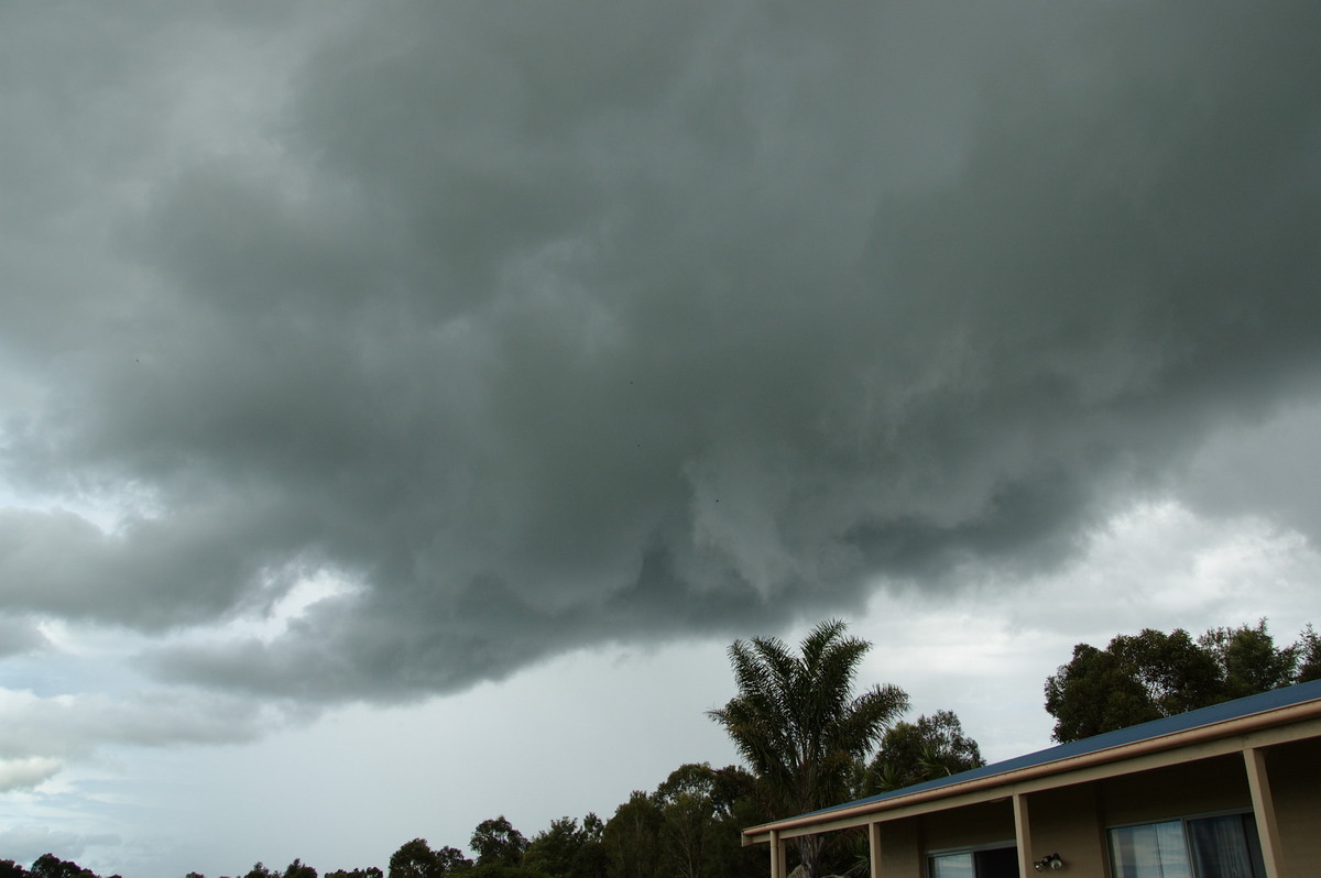 cumulonimbus thunderstorm_base : McLeans Ridges, NSW   28 December 2008
