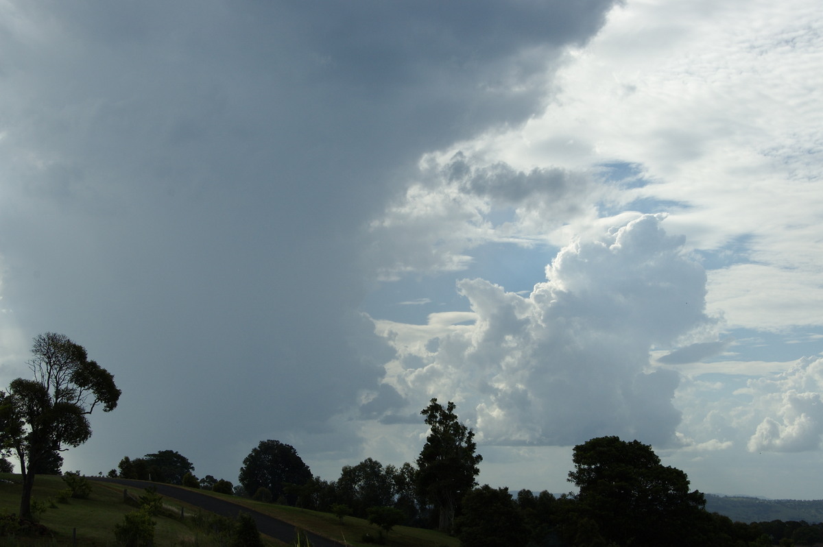 thunderstorm cumulonimbus_calvus : McLeans Ridges, NSW   21 January 2009