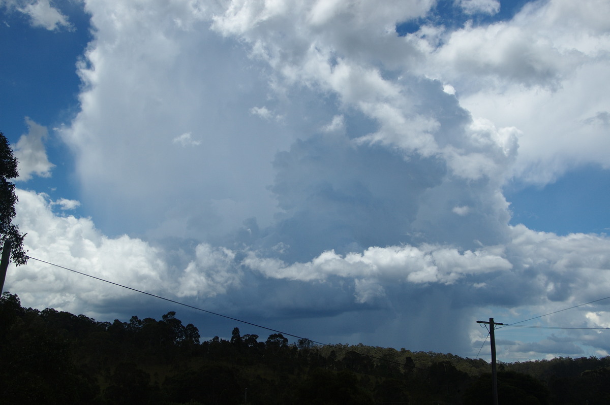 thunderstorm cumulonimbus_calvus : Tabulam, NSW   24 January 2009