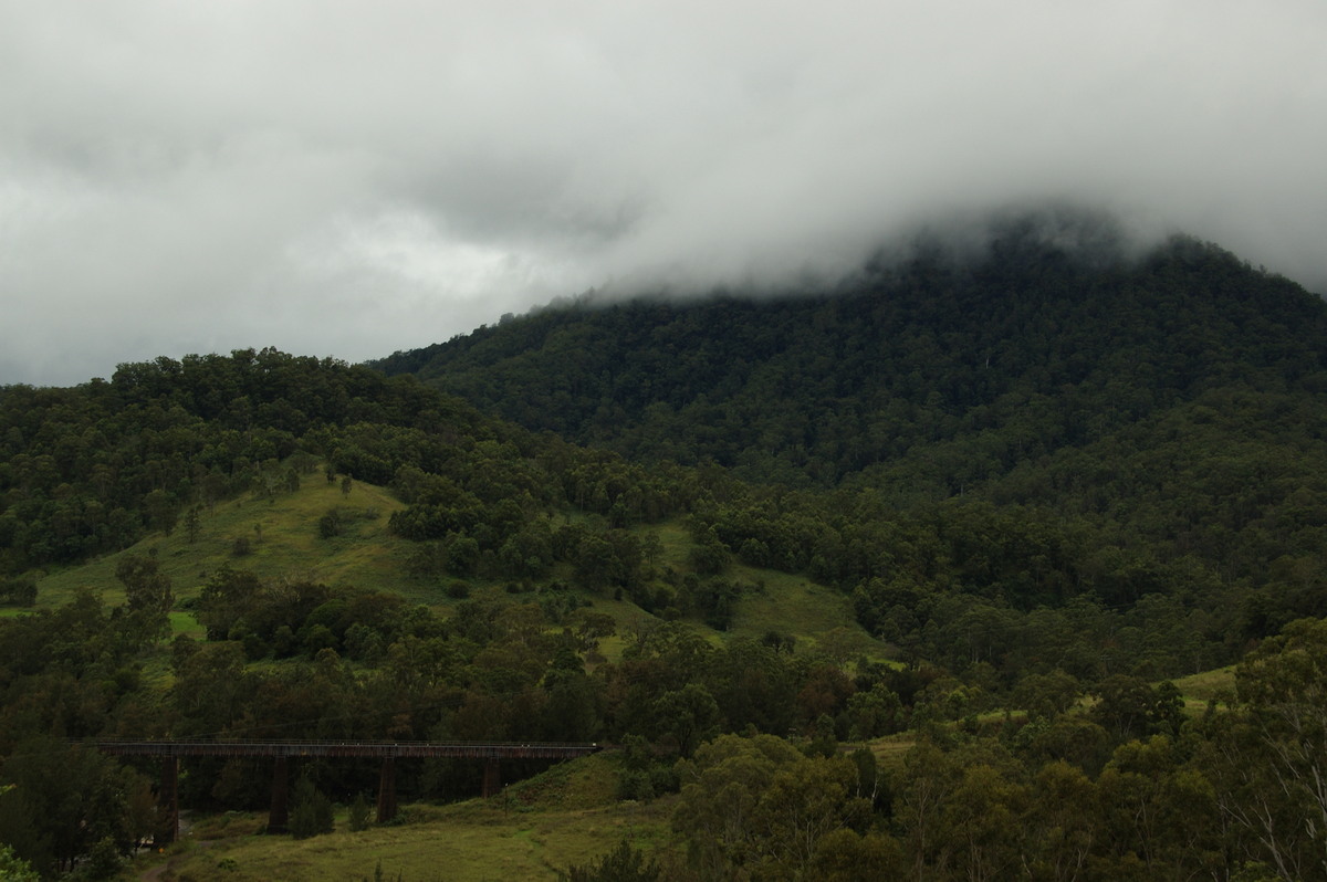 stratus stratus_cloud : Border Ranges, NSW   4 April 2009