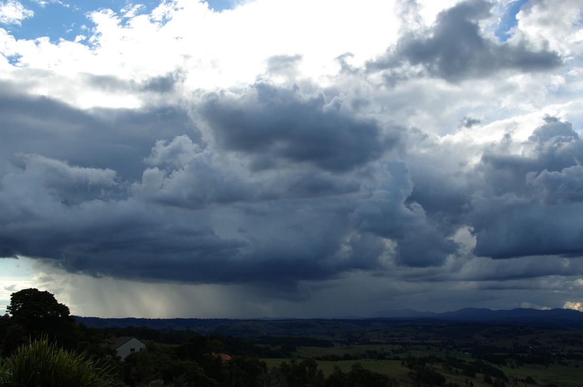 thunderstorm cumulonimbus_calvus : McLeans Ridges, NSW   5 June 2009