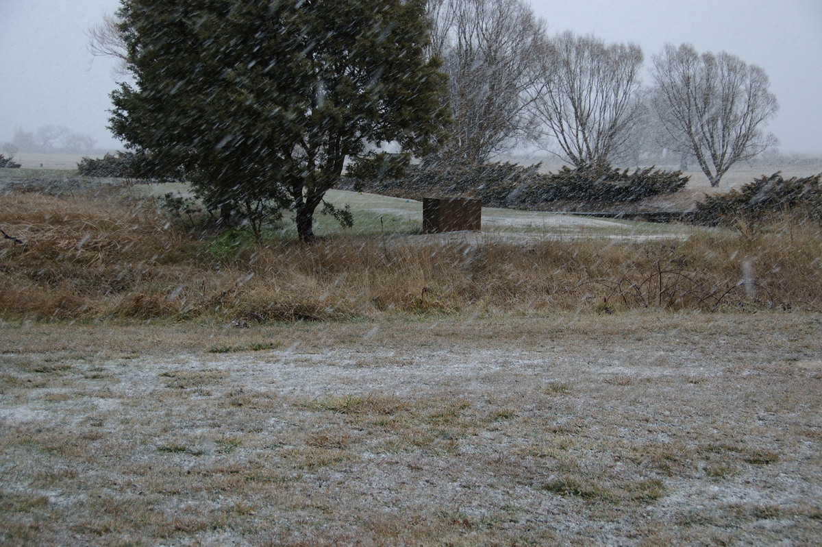 snow snow_pictures : Guyra, NSW   15 July 2009